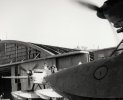 les hangars